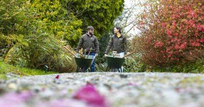 ‘We call Mount Congreve Ireland’s global garden because there are 10,000 different plants here’