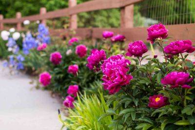 5 Flower Gardening Trends Pros Want You to Try in 2024