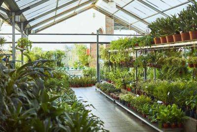 6 Reasons Local Garden Centers Are the Best Place to Buy Plants