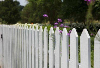 Choosing high-quality timber for fencing: a practical guide