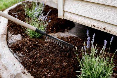 How to Prevent Mulch from Washing Away, According to a Pro