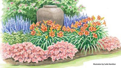 Summer Perennial Bed with Mighty Chestnut Daylily